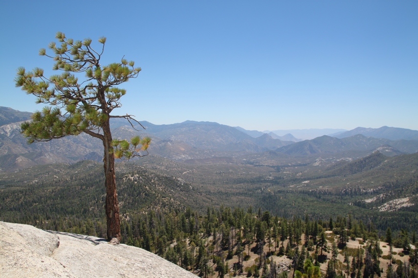 Sequoia National Forest